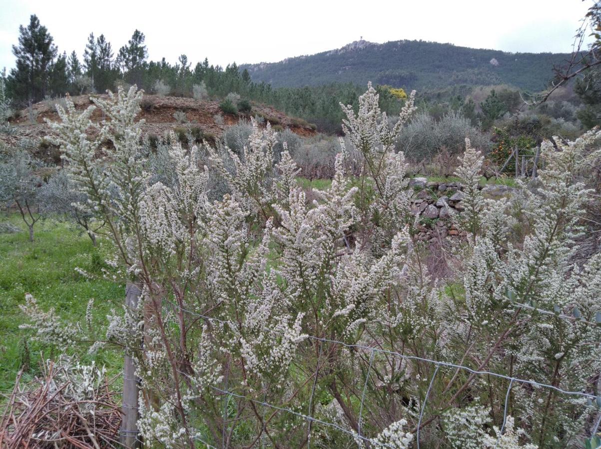 Refugio Do Raposo/Casa Altair Villa Montes da Senhora ภายนอก รูปภาพ